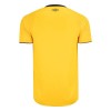 Camiseta Sport Recife Segunda 2024-25